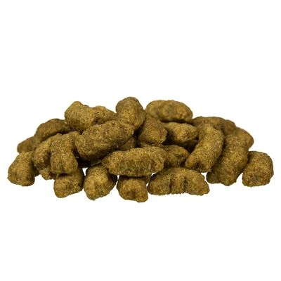 Bosch Junior Maxi Dry Dog Food 4 Bosch Junior Maxi Dry Dog Food - Image 2