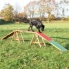 Trixie Dog Agility Bridge