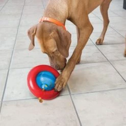 KONG Gyro -Trixie Dog Supply Sale 74248 kong gyro 1