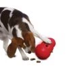 KONG Wobbler Dog Toy -Trixie Dog Supply Sale 74323 kong wobbler 1