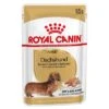 Royal Canin Dachshund Mousse