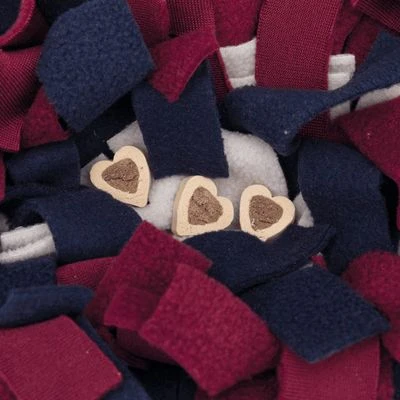 Trixie Activity Sniffer Carpet 5 Trixie Activity Sniffer Carpet - Image 3