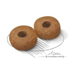 Royal Canin Medium Ageing 10+ -Trixie Dog Supply Sale 80734 royalcanin mediumageing 10plus 15kg croc hs 02 5