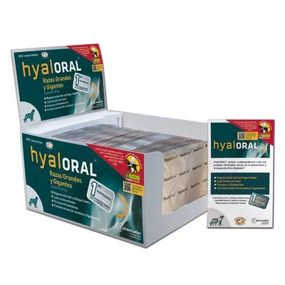 Hyaloral For Large & Giant Breeds 4 Hyaloral For Large & Giant Breeds - Image 2