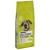 Dog Chow Adult Large Breed 2 Dog Chow Adult Large Breed -Trixie Dog Supply Sale 82005 pla dog chow largebreed turkey 14kg 1