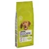 Purina Dog Chow Adult Lamb