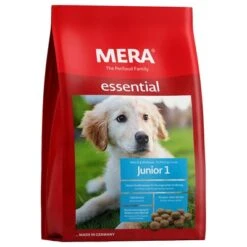 MERA Essential Junior 1