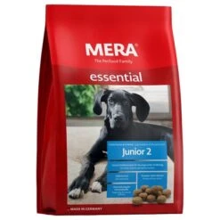 MERA Essential Junior 2