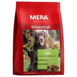MERA Essential Light