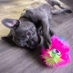 GoDog® Rainbow Furballz 16 GoDog® Rainbow Furballz -Trixie Dog Supply Sale 84956 godog furballzregenbogen hs 06 0