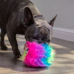 GoDog® Rainbow Furballz 14 GoDog® Rainbow Furballz -Trixie Dog Supply Sale 84956 godog furballzregenbogen hs 09 4