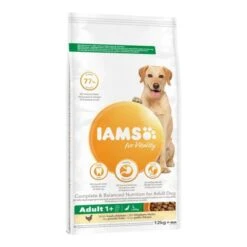 IAMS For Vitality Adult Large Dog - Chicken -Trixie Dog Supply Sale 8710255128146 2 4 9