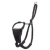 Halti Non-Pull Dog Training Harness