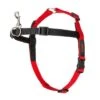 Halti Front Control Training Harness