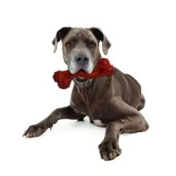 Nylabone DuraChew Monster Bone - Bison 11 Nylabone DuraChew Monster Bone - Bison -Trixie Dog Supply Sale 94898 nylabone durra chew monster hs 05 1