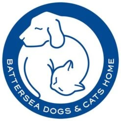 Pet Teezer De-shedding Brush -Trixie Dog Supply Sale 99699 newflag petteezer desheddingbrush purple hs 06 4