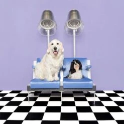 Pet Teezer De-shedding Brush -Trixie Dog Supply Sale 99699 newflag petteezer desheddingbrush purple hs 09 3