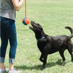 Chuckit! Rope Fetch 12 Chuckit! Rope Fetch -Trixie Dog Supply Sale 99704 petmate chuckit rope fetch hs 04 5