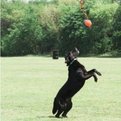 Chuckit! Rope Fetch 10 Chuckit! Rope Fetch -Trixie Dog Supply Sale 99704 petmate chuckit rope fetch hs 05 8