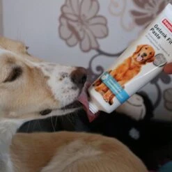 Beaphar Healthy Joints Paste 5 Beaphar Healthy Joints Paste -Trixie Dog Supply Sale 99919 beaphar gelenk fitpaste 250g hs 02 8