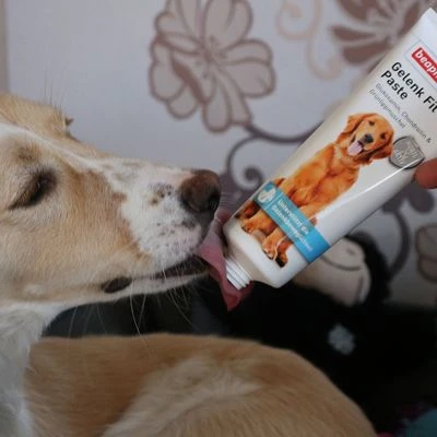 Beaphar Healthy Joints Paste 4 Beaphar Healthy Joints Paste - Image 2