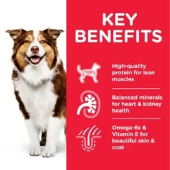 Hill's Science Plan Hill’s Science Plan Mature Adult 7+ Medium With Chicken -Trixie Dog Supply Sale atf8 604378 key benefits 8