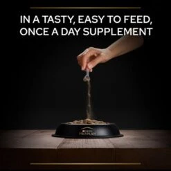 Pro Plan Mobility Dog Supplement Powder -Trixie Dog Supply Sale benefit 3