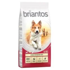 Briantos Dry Dog Food Economy Packs -Trixie Dog Supply Sale briantos adult chickenrice 14kg 1000x1000 9 1
