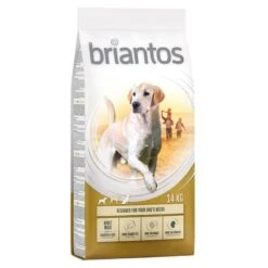 Briantos Dry Dog Food Economy Packs -Trixie Dog Supply Sale briantos adult maxi chickenrice 14kg 1000x1000 2 1