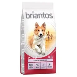 Briantos Dry Dog Food Economy Packs -Trixie Dog Supply Sale briantos adult salmonrice 14kg 1000x1000 0 1