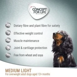 Concept For Life Medium Light -Trixie Dog Supply Sale cfl board dog mediumlight 1