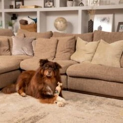 Pet Head Sensitive Soul -Trixie Dog Supply Sale companyofanimals pethead sensitivesoul set3teilig hs 08 9