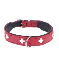 HUNTER Swiss Dog Collar -Trixie Dog Supply Sale dsc9098 0