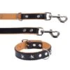 Heim Leather Lead & Collar Set - Stars 2 Heim Leather Lead & Collar Set - Stars -Trixie Dog Supply Sale dsc9127 8