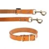 Heim Buffalo Dog Lead & Collar Set