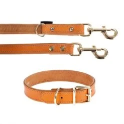 Heim Buffalo Dog Lead & Collar Set