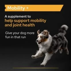 Pro Plan Mobility Dog Supplement Powder -Trixie Dog Supply Sale features 4