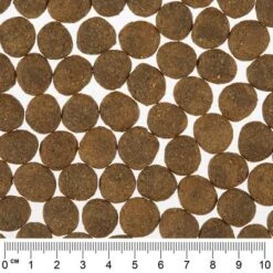 Greenwoods Economy Pack 2 X 12kg -Trixie Dog Supply Sale greenwoods dog beef 2 web 7