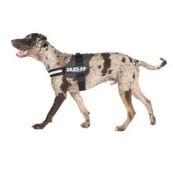 Julius K9 JULIUS-K9® Power Harness - Anthracite -Trixie Dog Supply Sale juliusk9 powergeschirr anthrazit2 4