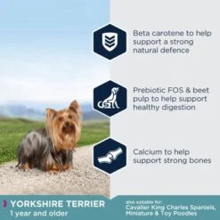 Eukanuba Yorkshire Terrier Adult 12 Eukanuba Yorkshire Terrier Adult -Trixie Dog Supply Sale key benefits 6