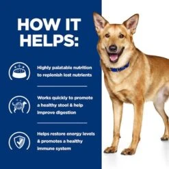Hill's Prescription Diet Canine I/d Digestive Care - Turkey -Trixie Dog Supply Sale pd id dog bk30978m bk31617 bk30920 how helps uk 9