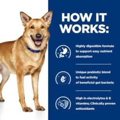 Hill's Prescription Diet Canine I/d Digestive Care - Turkey -Trixie Dog Supply Sale pd id dog bk30978m bk31617 bk30920 how works uk 7