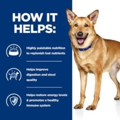 Hill’s Prescription Diet Canine I/d Digestive Care Stew - Chicken 15 Hill’s Prescription Diet Canine I/d Digestive Care Stew - Chicken -Trixie Dog Supply Sale pd id dog bk33557 how helps uk 8