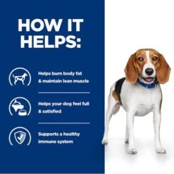 Hill's Prescription Diet Canine R/d Weight Reduction - Chicken -Trixie Dog Supply Sale pd rd dog bk24536m bk27973 how helps uk 3
