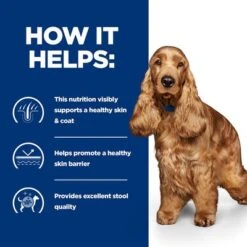 Hill's Prescription Diet Canine Z/d Food Sensitivities -Trixie Dog Supply Sale pd zd dog bk30873m bk30972 how helps uk 8