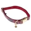 Nomad Tales Calma Collar, Burgundy -Trixie Dog Supply Sale pla 326203 326204 326205 325904 325899 325900 nomad tales calma halsbaender fg 1586 8