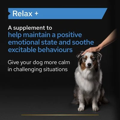 Pro Plan Relax Dog Supplement Oil 8 Pro Plan Relax Dog Supplement Oil - Image 6
