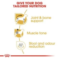 Royal Canin Dachshund Adult -Trixie Dog Supply Sale rc bhn dachshund cv eretailkit 3 5