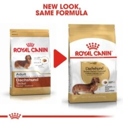 Royal Canin Dachshund Adult -Trixie Dog Supply Sale rc bhn dachshund cv eretailkit 4 6