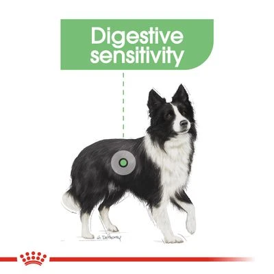 Royal Canin Medium Digestive Care 9 Royal Canin Medium Digestive Care - Image 7